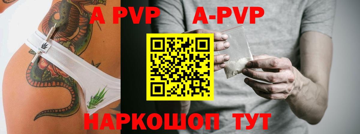 Альфа ПВП СК КРИС Грозный