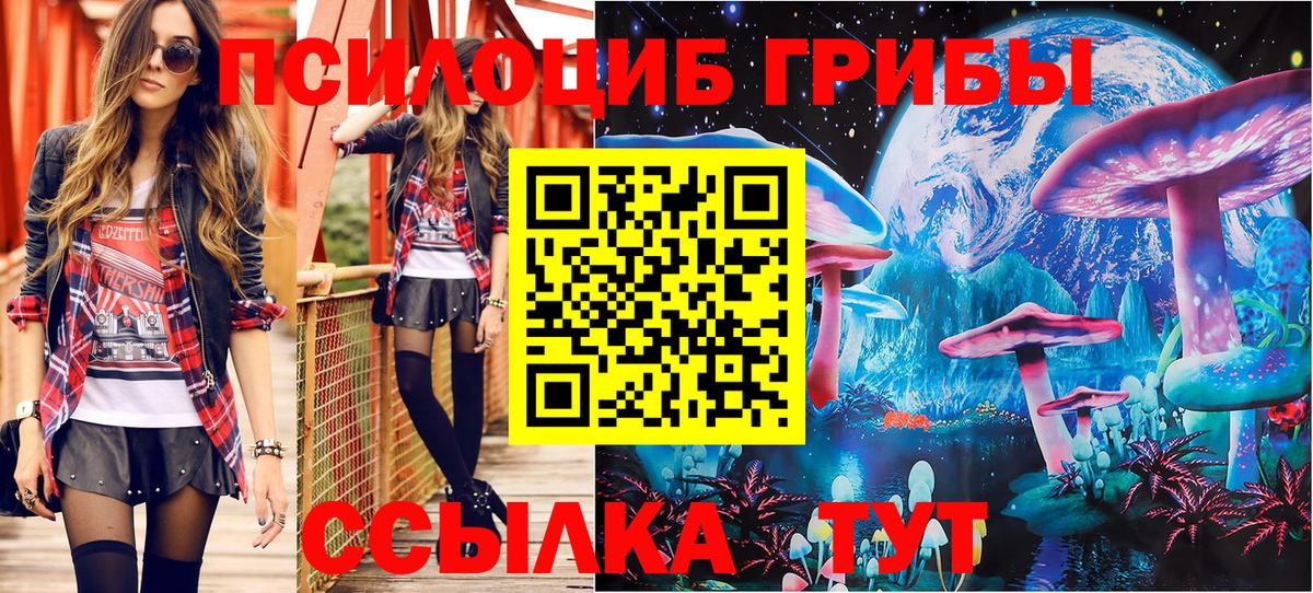 Псилоцибиновые грибы GOLDEN TEACHER  Вход с VPN  Грозный 