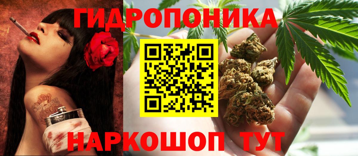 Канабис MAZAR Грозный